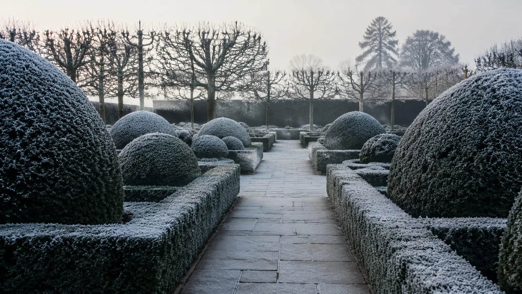 A pale limestone path running between clipped yew domes and low box hedging under hoar frost on a January morning.